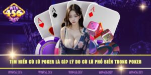 cù lũ poker